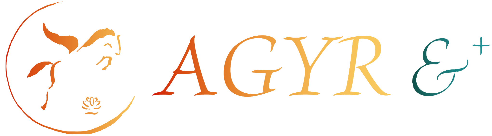 Agyr & +