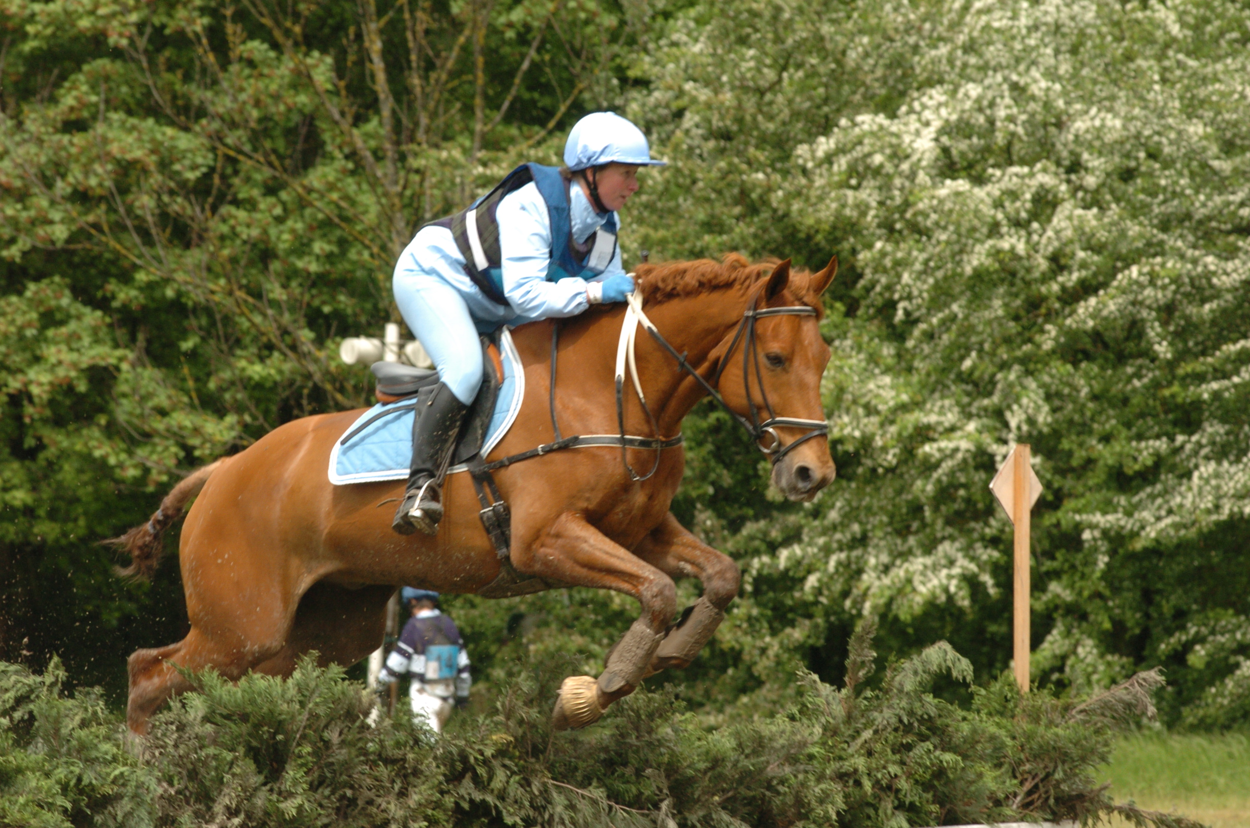 Saut Haie Miribel