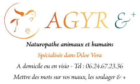 Affiche light